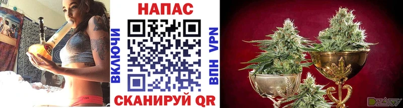 Купить наркоту Шлиссельбург Конопля Галлюциногенные грибы Гашиш Меф мяу мяу Cocaine