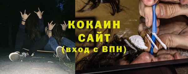 крисы Кущёвская