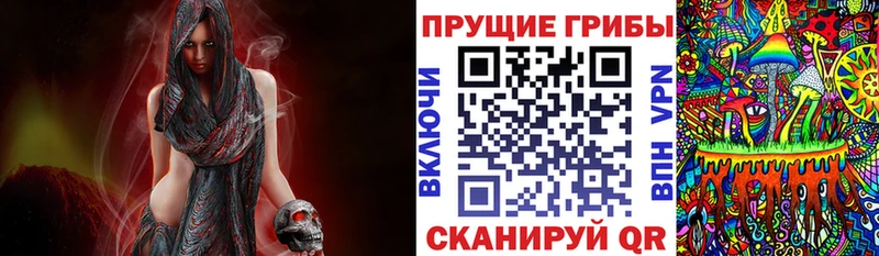 наркота  Шлиссельбург  даркнет наркотические препараты  Псилоцибиновые грибы MAGIC MUSHROOMS 