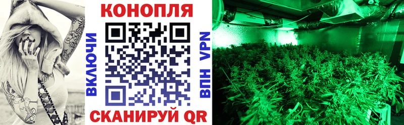 Конопля марихуана  Шлиссельбург 